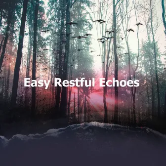 Easy Restful Echoes by Unknown Artist