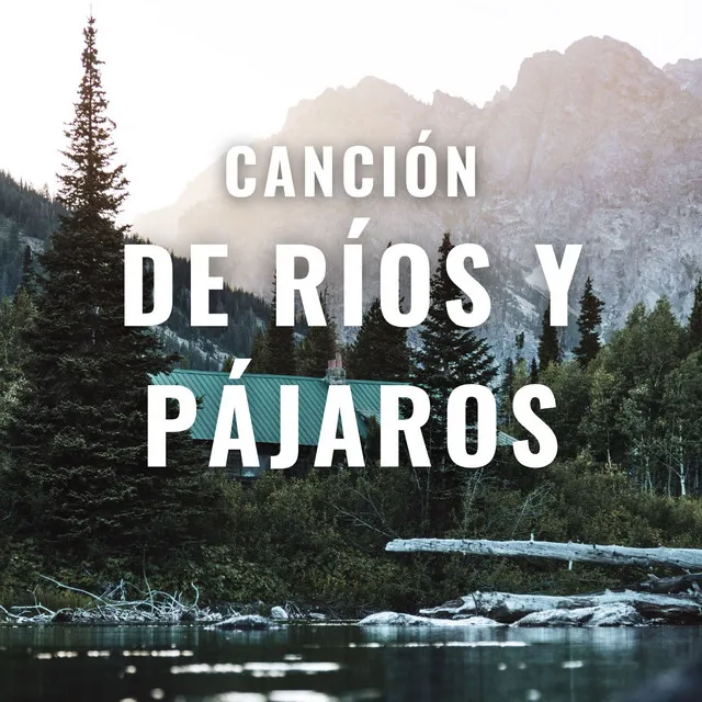 Canción De Ríos Y Pájaros