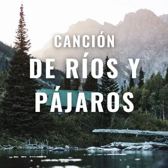 Canción De Ríos Y Pájaros by Pájaros en la televisión