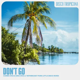 Don't Go (Nothing But Funk Little Disco Remix) by GINA VOCA