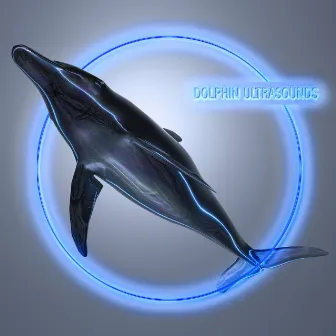 Dolphin Ultrasounds: Collection of Sounds with Healing and Relaxing Properties, Soothing Stress and Tension, Helping to Calm Down and Recover by Calm Animals Music