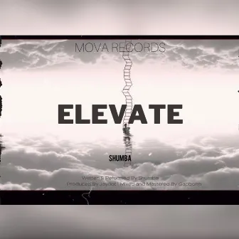 Elevate by Shumba