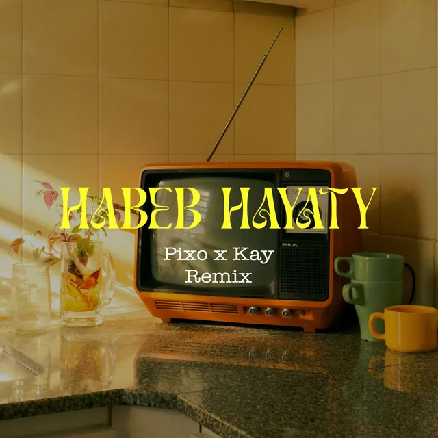 Habib Hayaty - (Afro House Remix)