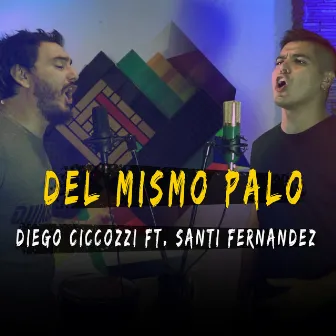 Del mismo palo by Diego Ciccozzi