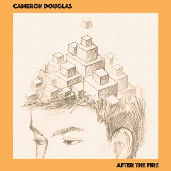 After the Fire by Cameron Douglas