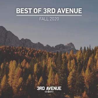 Best of 3rd Avenue | Fall 2020 by Forerunners