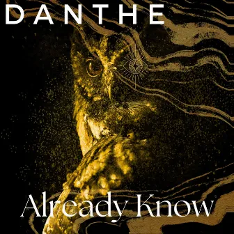 Already Know by DaNthe