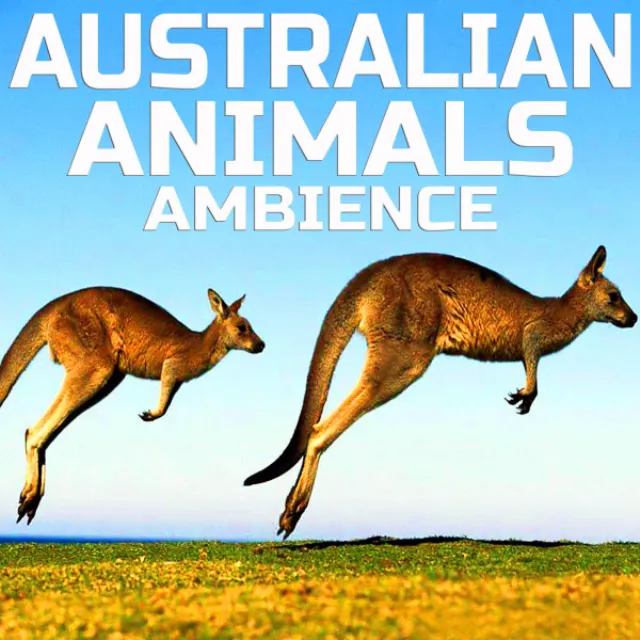 Australian Animals Ambient Sound