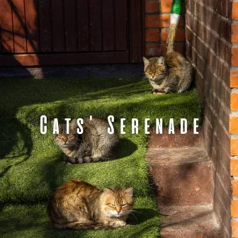 Cats' Serenade: Ambient Music and Purrs by Noise Radio 1