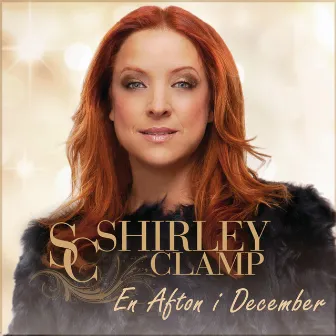 En afton i december by Shirley Clamp