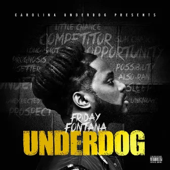 Underdog by Friday Fontana