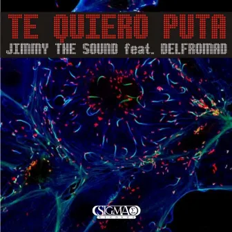 Te Quiero Puta (feat. Delfromad) by Jimmy The Sound