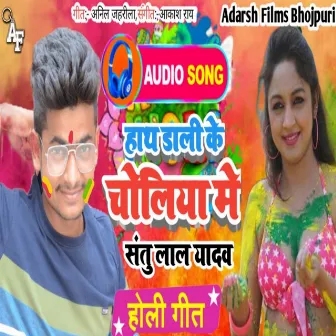 Hath Dali K Choliya Me (Bhojpuri) by Santu Lal Yadav