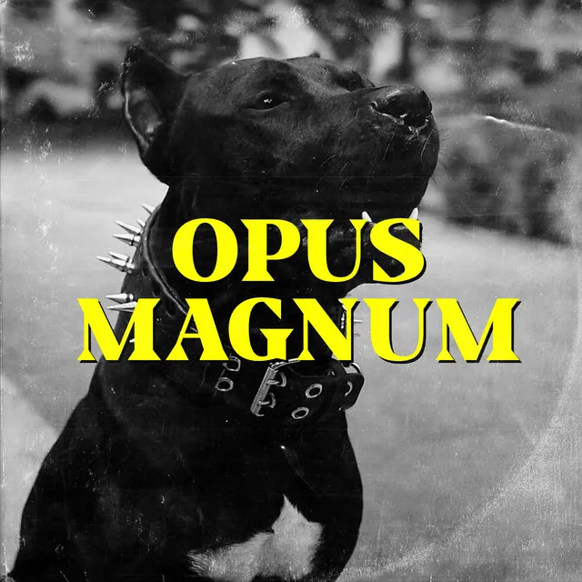 Opus Magnum