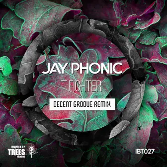 Fighter (Decent Groove Remix) by Jay Phonic