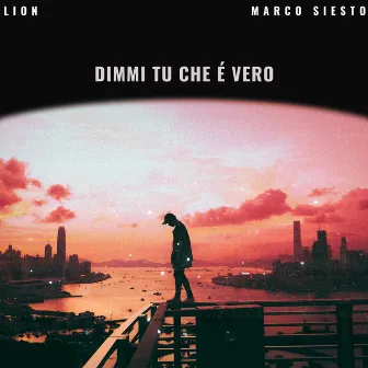 Dimmi Tu Che É Vero by LION