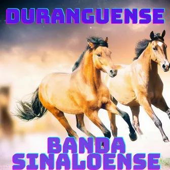 Duranguense, Banda Sinaloense by Banda Borrego