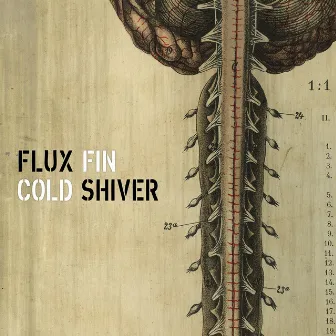 Cold Shiver by Flux Fin