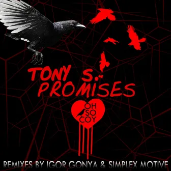 Promises by Tony S