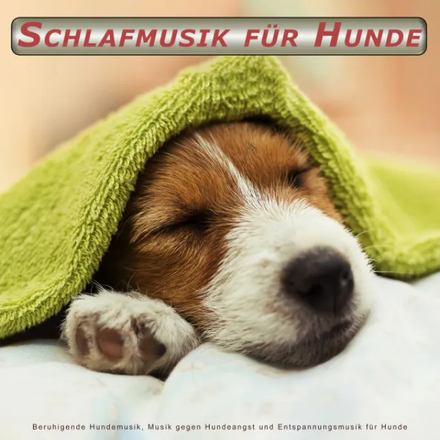 Schlafende Musik für Hunde