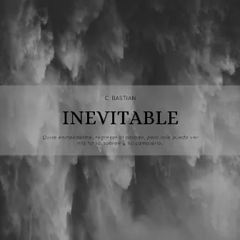 Inevitable by Unknown Artist