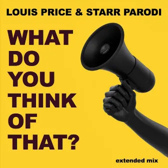 What Do You Think of That? (Extended Mix) by Louis Price