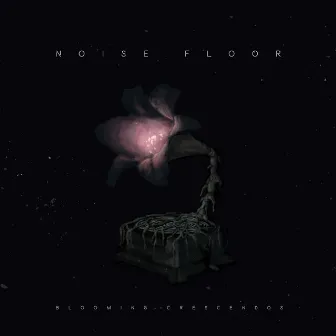 Blooming Crescendos by Noise Floor