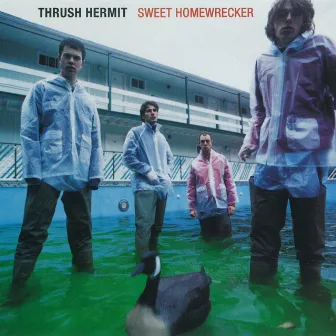 Sweet Homewrecker by Thrush Hermit