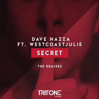 Secret (FroZz & Gueaster Remix) by Dave Nazza