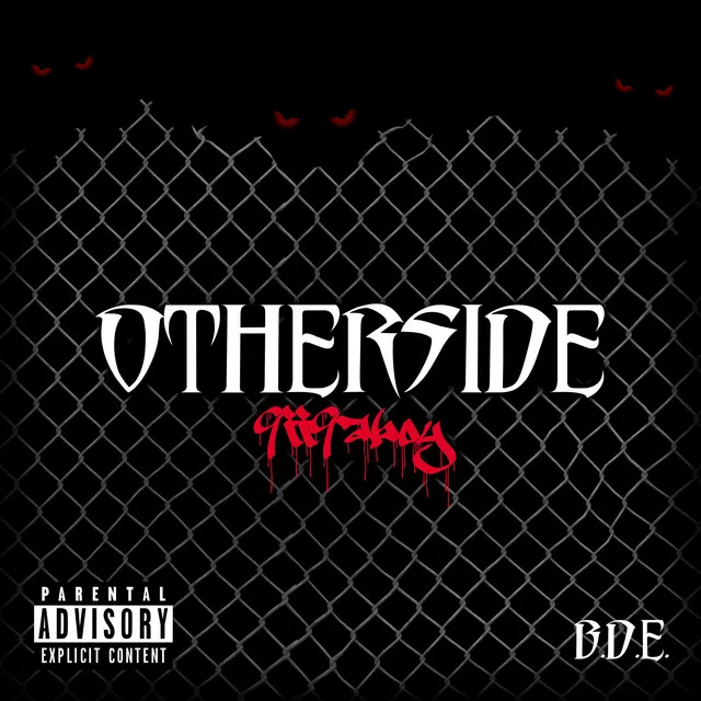 Otherside