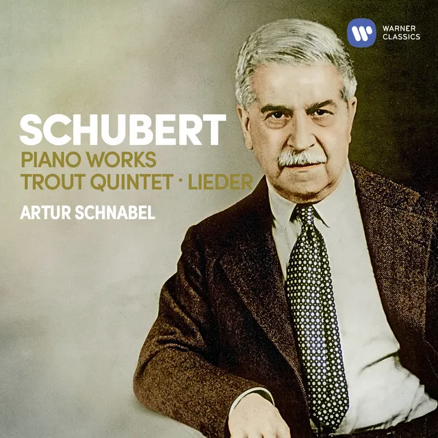 Schubert: Piano Sonata No. 21 in B-Flat Major, D. 960: II. Andante sostenuto