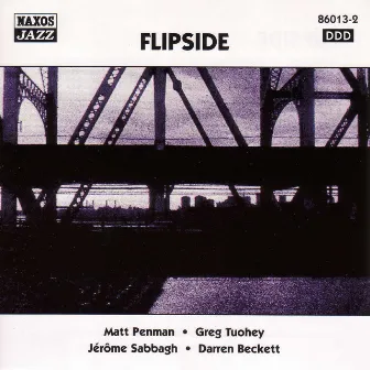 Flipside: Flipside by Matt Penman