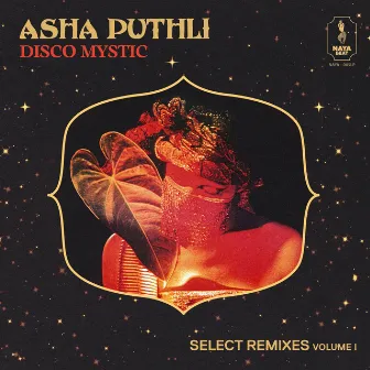 Disco Mystic: Select Remixes Volume 1 by Asha Puthli