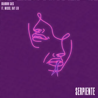 Serpiente by Brandon Saes