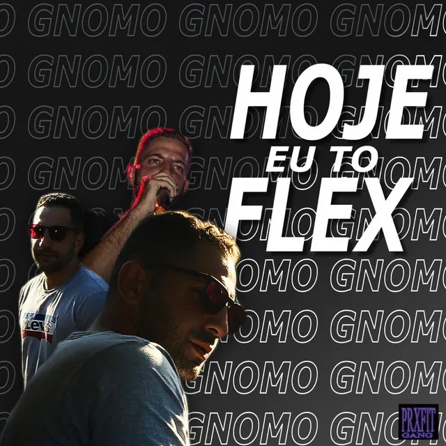 Hoje Eu To Flex