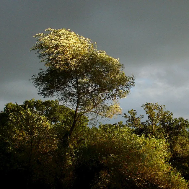 Thunderstorm in the French Countryside