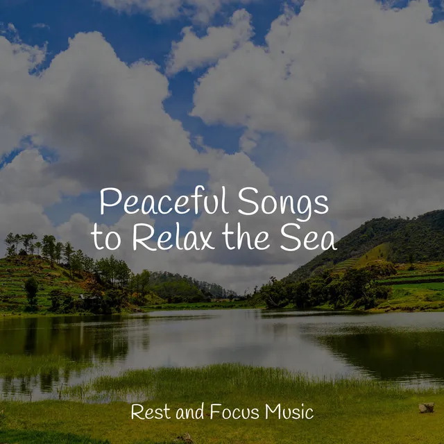 Peaceful Songs to Relax the Sea