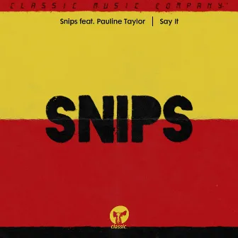 Say It (feat. Pauline Taylor) by Snips