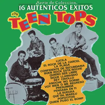 Serie De Colección 16 Autenticos Exitos by Los Teen Tops