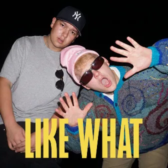 Like What by Joey Valence & Brae