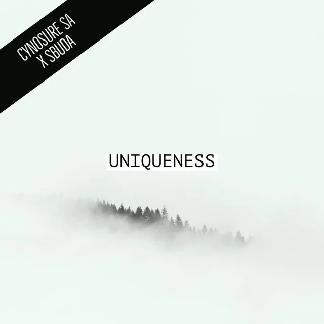 Uniqueness