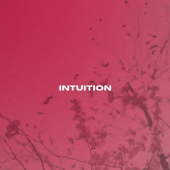 Intuition by Gregory.B