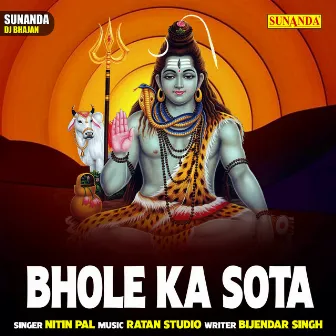 Bhole Ka Sota (Hindi) by Nitin Pal