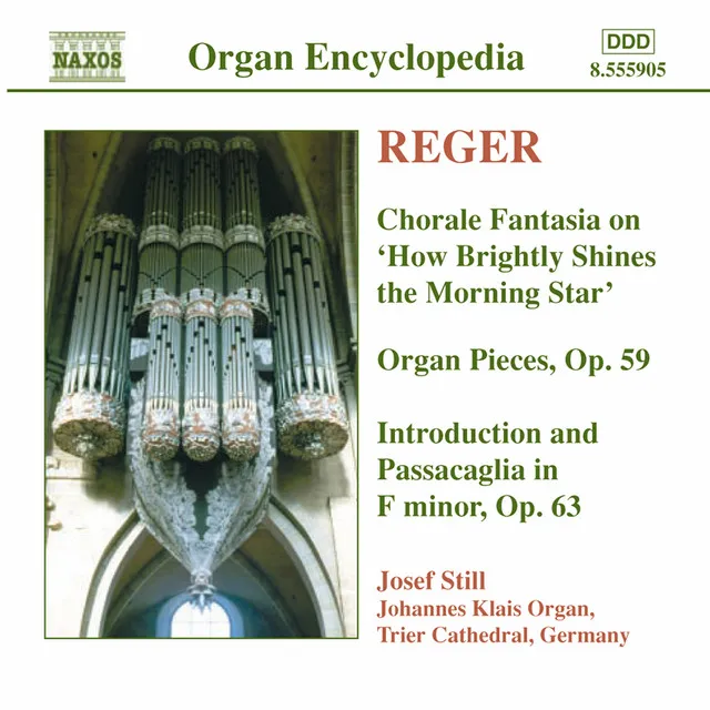 Reger, M.: Organ Works, Vol. 4