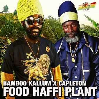 Food Haffi Plant by Bamboo Kallum