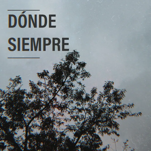 Dónde Siempre