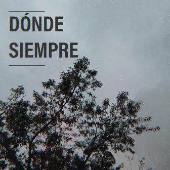 Dónde Siempre by Iarck