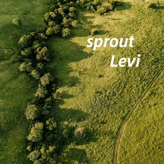 sprout by Levi