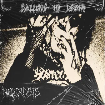 CALLING TO DEATH by Necr0sis