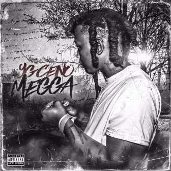 MEGGA TAPE by YGCENO